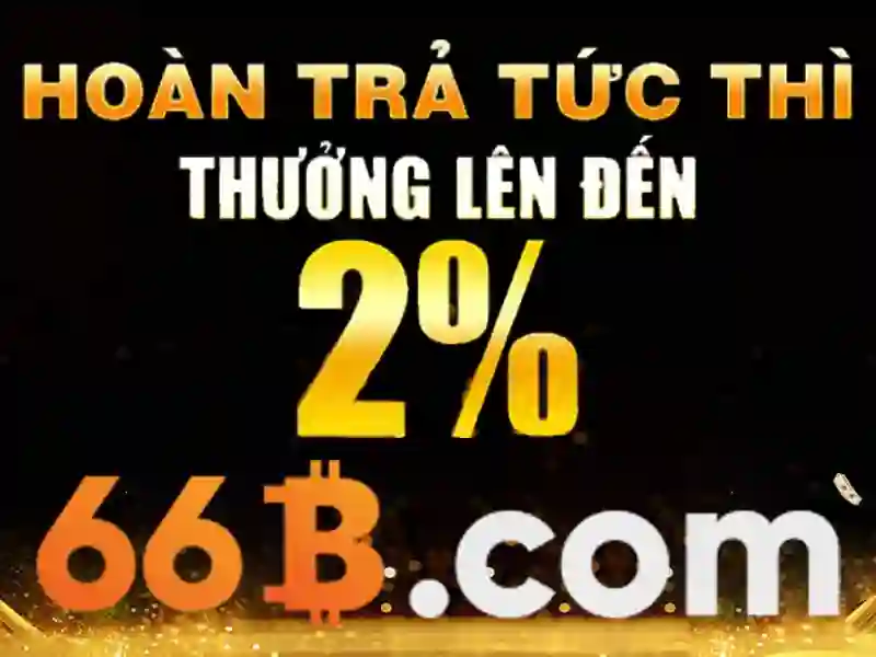 Giới thiệu về 66B<p style=