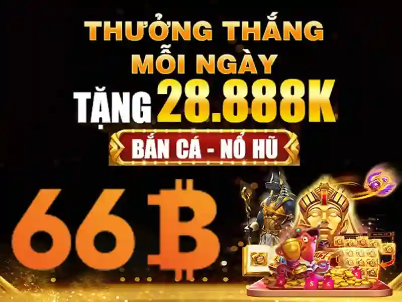 đăng xuất 66b – Định vị thương hiệu và trải nghiệm người dùng