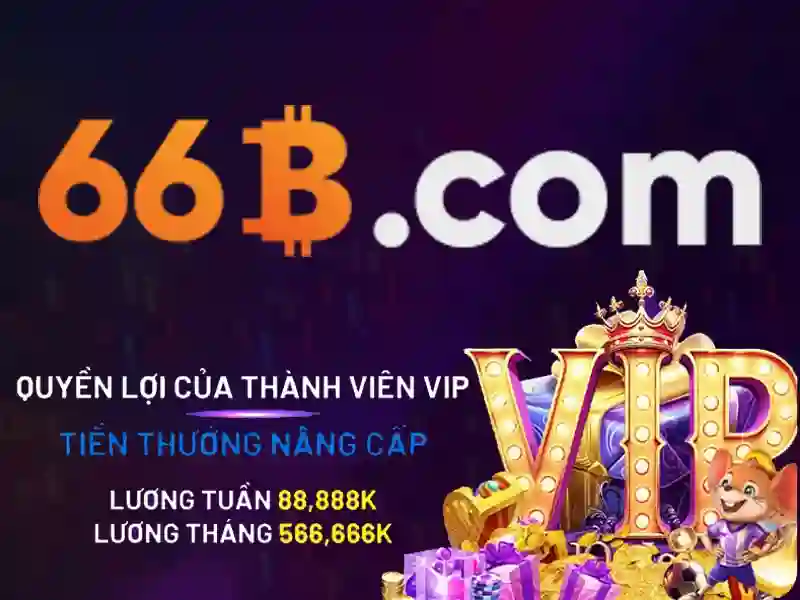 cd 66b pe – Giới thiệu đầy sáng tạo