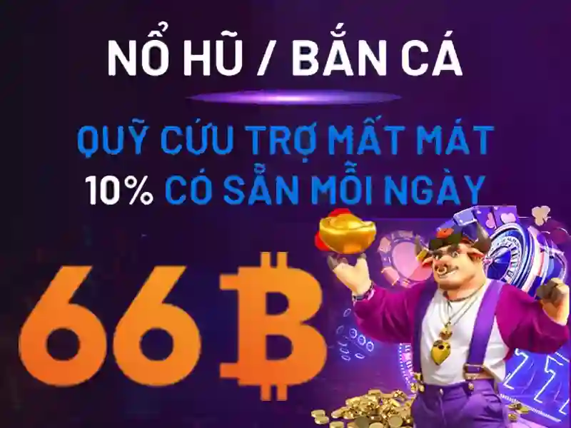 66b là gì?