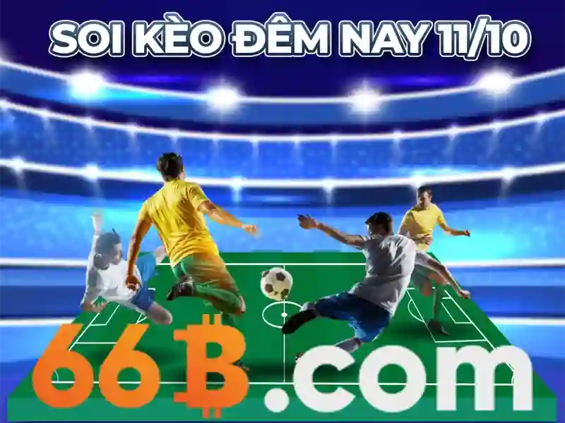 66b là gì?