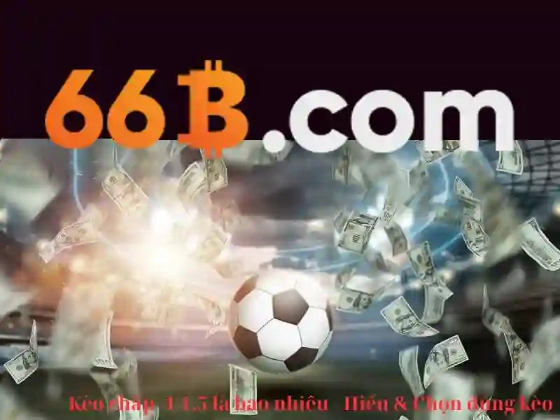 đăng xuất 66b – Định vị thương hiệu và trải nghiệm người dùng